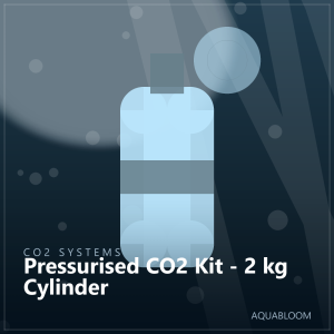 Pressurised CO2 Kit - 2 kg Cylinder