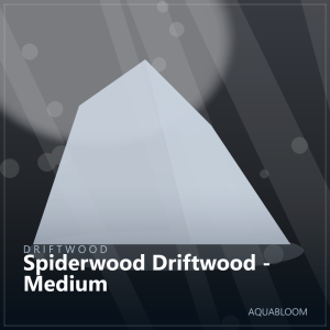 Spiderwood Driftwood - Medium