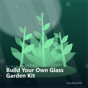 Build Your Own Glass Garden Kit