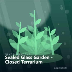 Sealed Glass Garden - Closed Terrarium