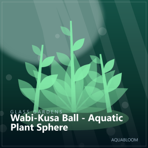 Wabi-Kusa Ball - Aquatic Plant Sphere
