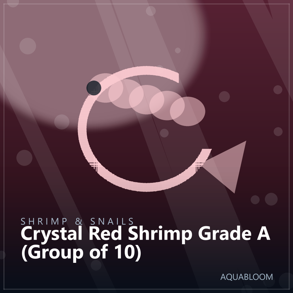 Crystal Red Shrimp Grade A (Group of 10)