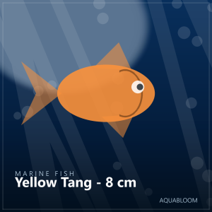 Yellow Tang - 8 cm