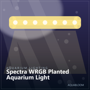 Spectra WRGB Planted Aquarium Light