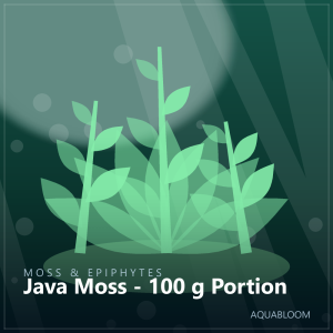 Java Moss - 100 g Portion