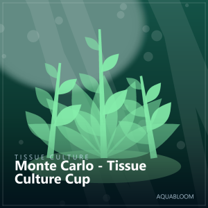 Monte Carlo - Tissue Culture Cup