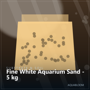 Fine White Aquarium Sand - 5 kg
