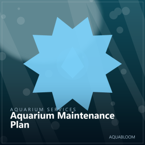 Aquarium Maintenance Plan