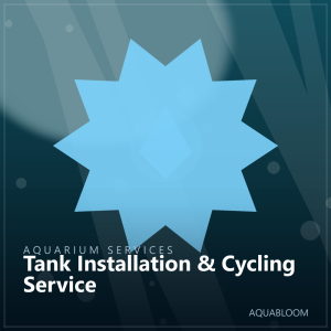 Tank Installation & Cycling Service